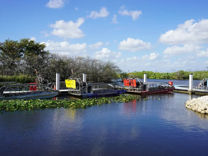 Airboats docked on a calm lake with lush greenery and a cloudy sky.