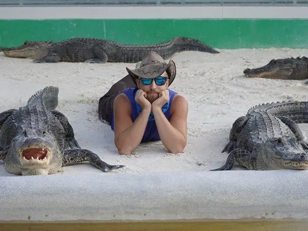 Person in hat and sunglasses lying on ground surrounded by alligators.