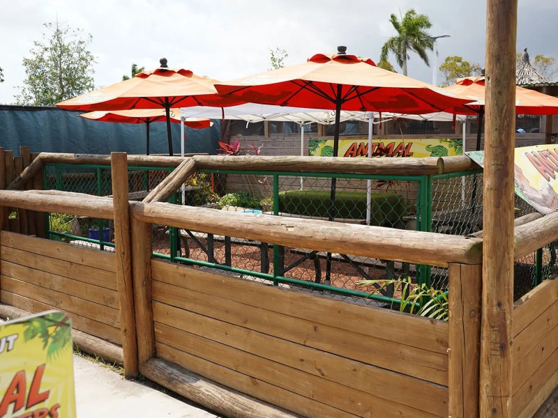 Enclosed wooden animal pen with red umbrellas and palm trees in the background.