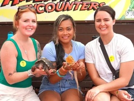Three people sitting, holding reptiles, at an outdoor animal exhibit.